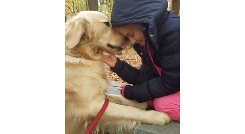 Honden welkom op de Ark van Noë